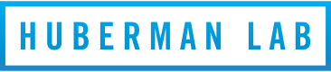 Huberman NSDR