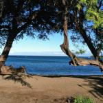 The pristeen setting at Anaeho'omalu Bay, near Lava Lava Beach Club.  Kept immaculate with frequent raking and constant vigilance, and a short walk from the Queen's Market Place, King's Shops or the Hilton Waikoloa Beach, this is the perfect setting for yoga on the beach with Calley O'Neill.